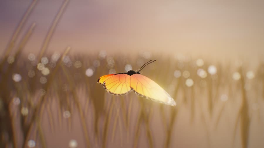 A golden butterfly over a sunlit meadow, from the game